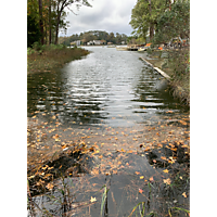 King tide Virginia Beach image